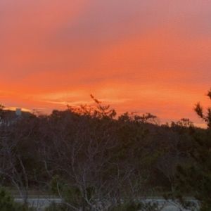 Meet your Posher, Mckenna